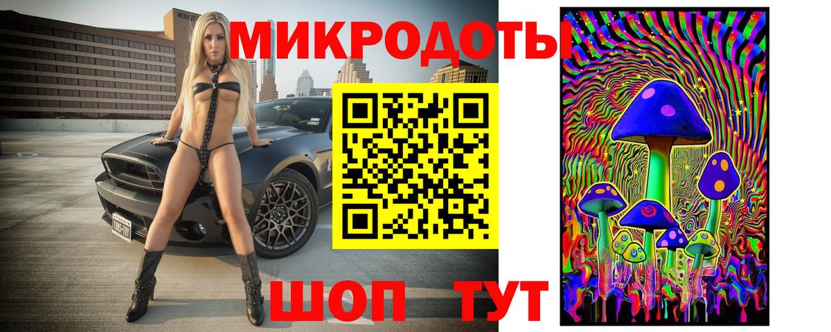 Галлюциногенные грибы Psilocybe  Вход с VPN  Новоалександровск  Галлюциногенные грибы мицелий 